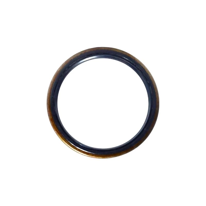NBR FKM High Temp Pinion Seal Tb Oil Seal-2